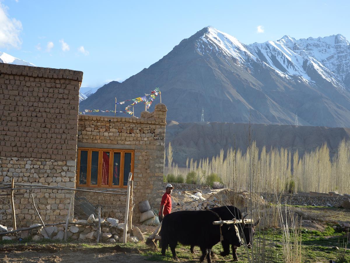 Hotel Nimmu House Ladakh à Nimu Extérieur photo