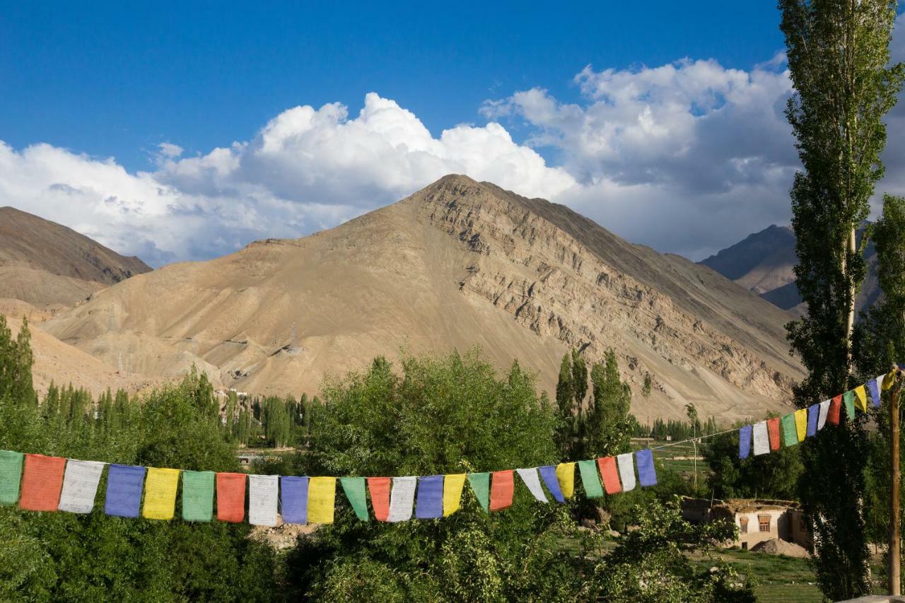 Hotel Nimmu House Ladakh à Nimu Extérieur photo